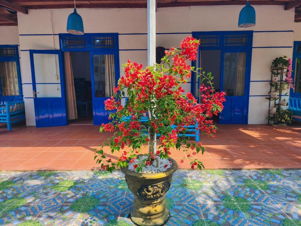 Dragon Sea Homestay Hoi An Zewnętrze zdjęcie